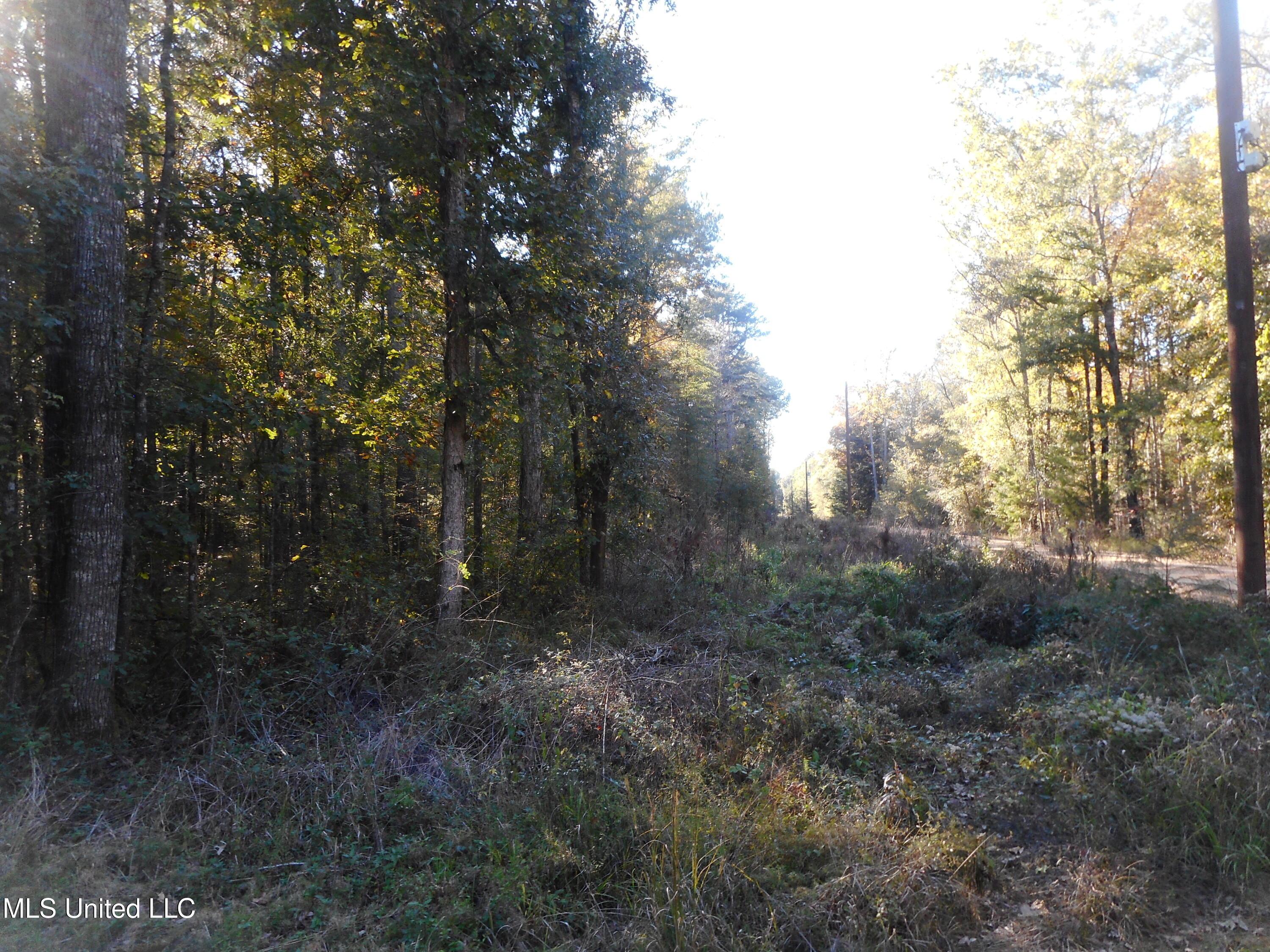 E-s Drive Braxton Ms 39044 Braxton, MS 39044 - Photo 15 of 22 DSCN1928