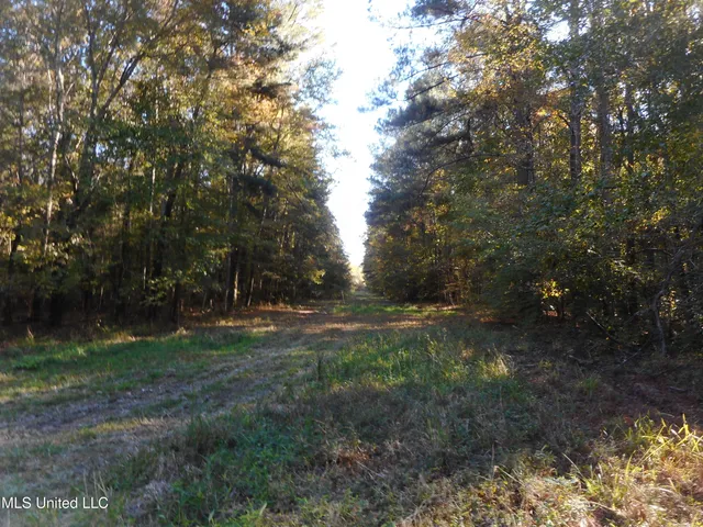 $130,000 | E-s Drive Braxton Ms 39044, Braxton, MS 39044