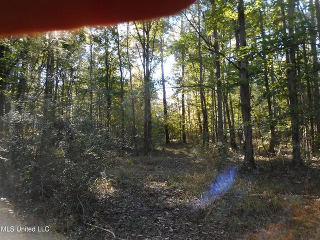 $130,000 | E-s Drive Braxton Ms 39044, Braxton, MS 39044