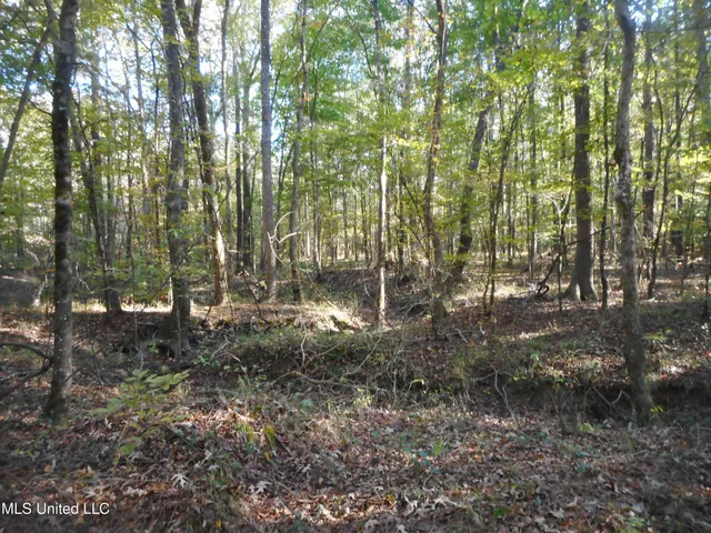 $130,000 | E-s Drive Braxton Ms 39044, Braxton, MS 39044