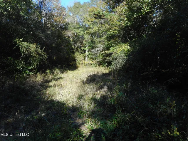 $130,000 | E-s Drive Braxton Ms 39044, Braxton, MS 39044