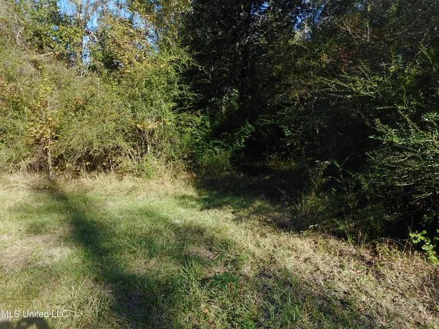 $130,000 | E-s Drive Braxton Ms 39044, Braxton, MS 39044