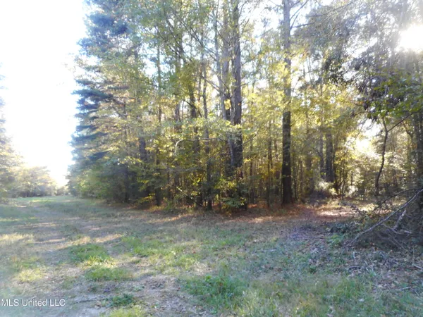 $119,500 | E-s Drive Braxton Ms 39044, Braxton, MS 39044