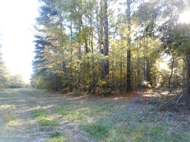 $130,000 | E-s Drive Braxton Ms 39044, Braxton, MS 39044