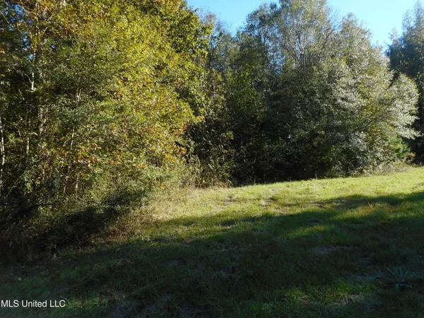 $119,500 | E-s Drive Braxton Ms 39044, Braxton, MS 39044