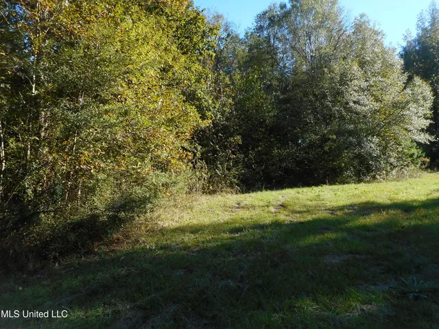 $130,000 | E-s Drive Braxton Ms 39044, Braxton, MS 39044