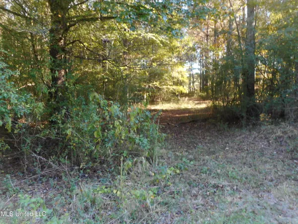 $119,500 | E-s Drive Braxton Ms 39044, Braxton, MS 39044