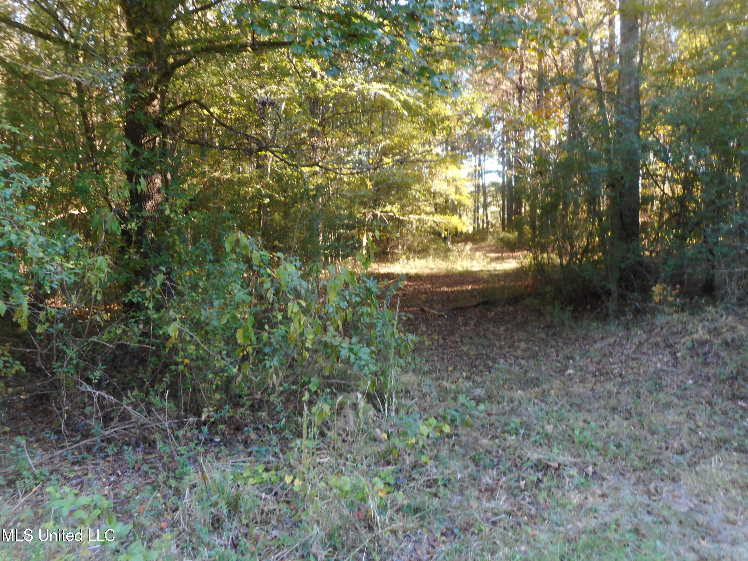 E-s Drive Braxton Ms 39044 Braxton, MS 39044 - Photo 22 of 22 DSCN1939