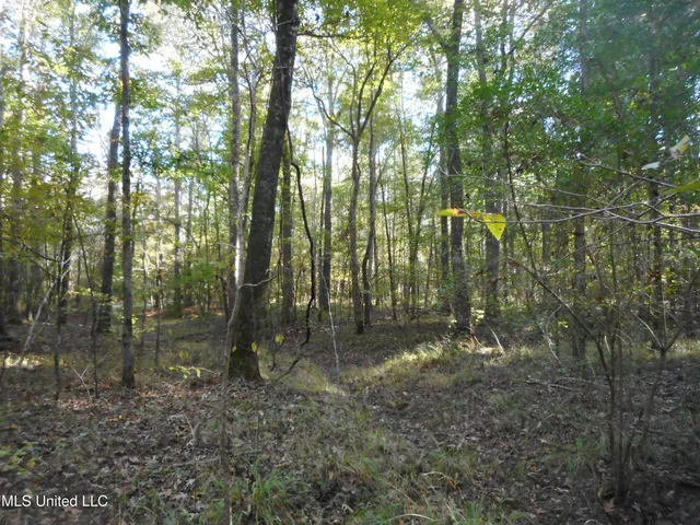 $130,000 | E-s Drive Braxton Ms 39044, Braxton, MS 39044