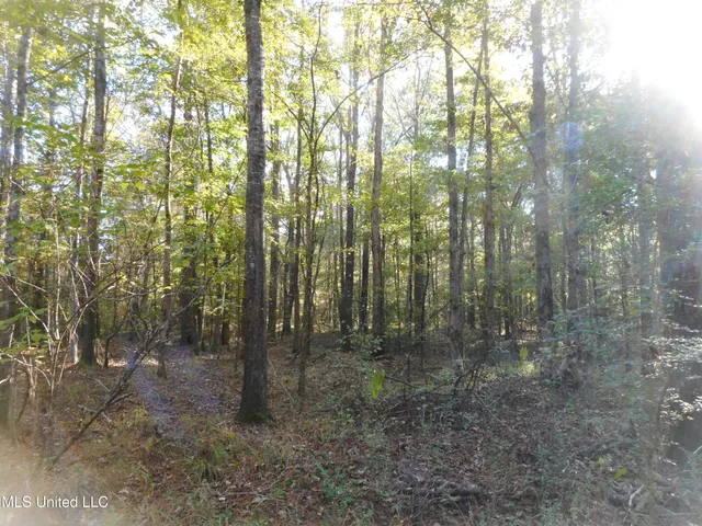 $130,000 | E-s Drive Braxton Ms 39044, Braxton, MS 39044