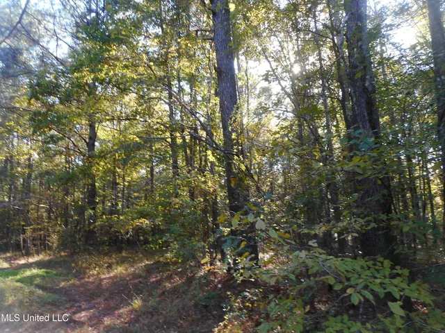 $130,000 | E-s Drive Braxton Ms 39044, Braxton, MS 39044