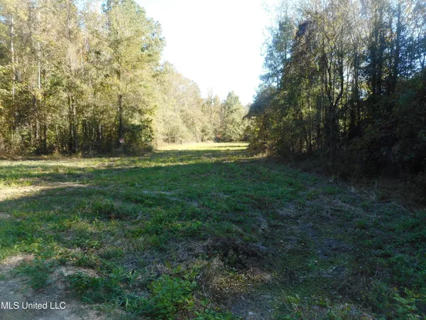 $119,500 | E-s Drive Braxton Ms 39044, Braxton, MS 39044