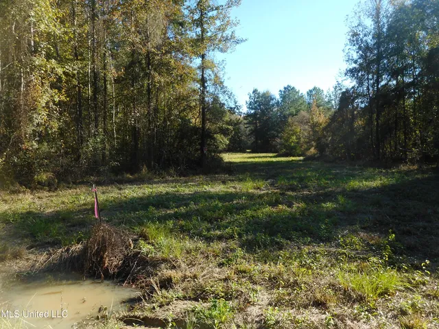 $130,000 | E-s Drive Braxton Ms 39044, Braxton, MS 39044