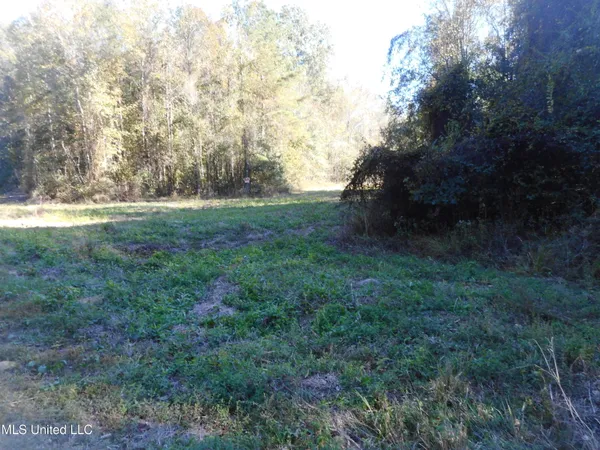 $119,500 | E-s Drive Braxton Ms 39044, Braxton, MS 39044