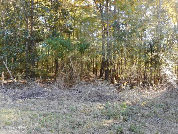 $119,500 | E-s Drive Braxton Ms 39044, Braxton, MS 39044