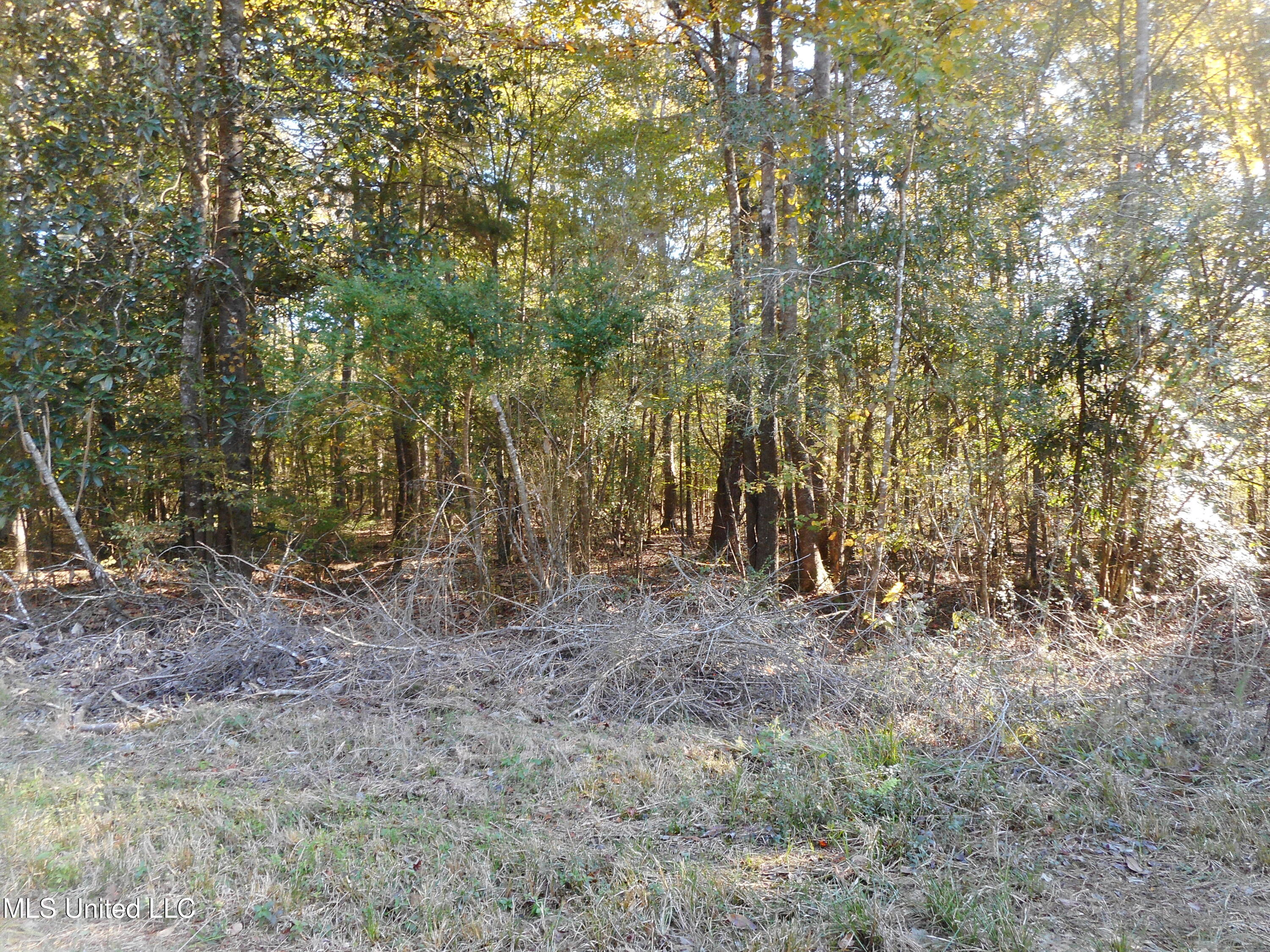 E-s Drive Braxton Ms 39044 Braxton, MS 39044 - Photo 10 of 22 DSCN1922