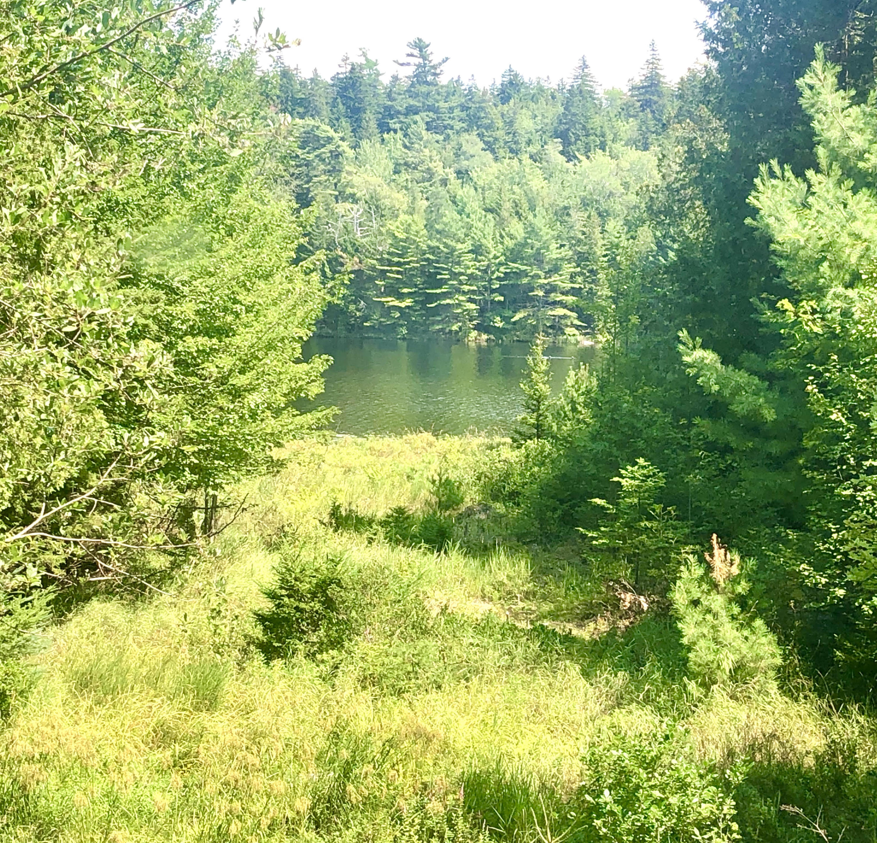 58 Daddy Johnny Road Tremont, ME 04674 - Photo 6 of 52 View from home