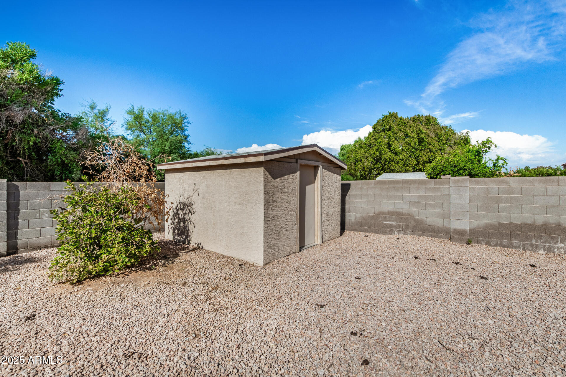 564 West Aviary Way Gilbert, AZ 85233 - Photo 21 of 29 a view of backyard and tree