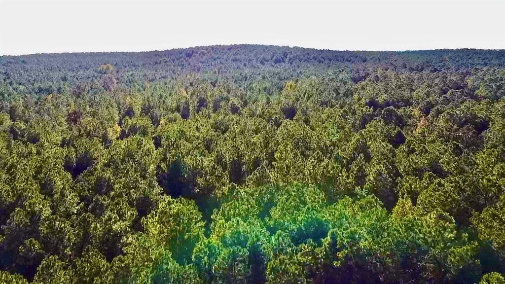 Undisclosed Address Plain Dealing, LA 71064 - Photo 14 of 18 a view of a lush green field