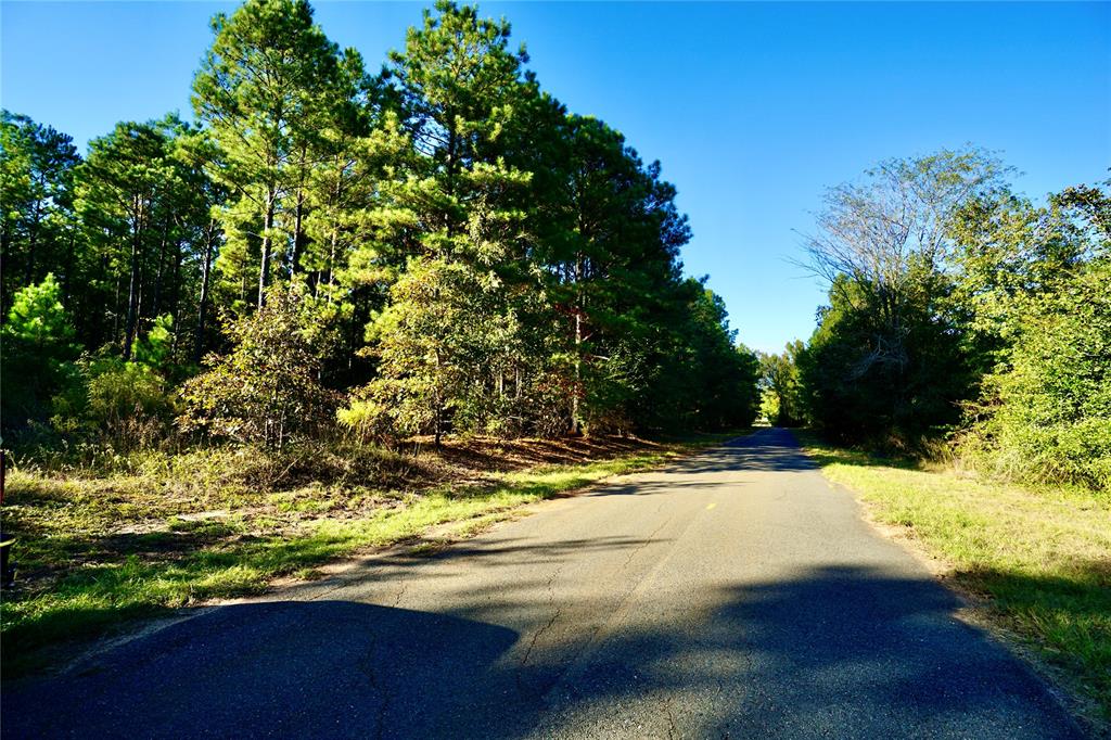 Undisclosed Address Plain Dealing, LA 71064 - Photo 15 of 18 a view of a yard with large trees