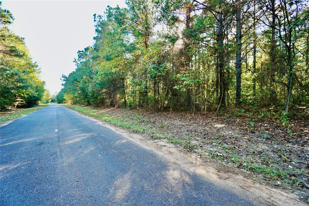 Undisclosed Address Plain Dealing, LA 71064 - Photo 6 of 18 a view of a forest with trees in the background