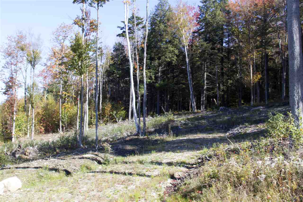 Lot 5-6 Garden Loop Road, Unit 5 & 6 Winhall, VT 05340 - Photo 3 of 9