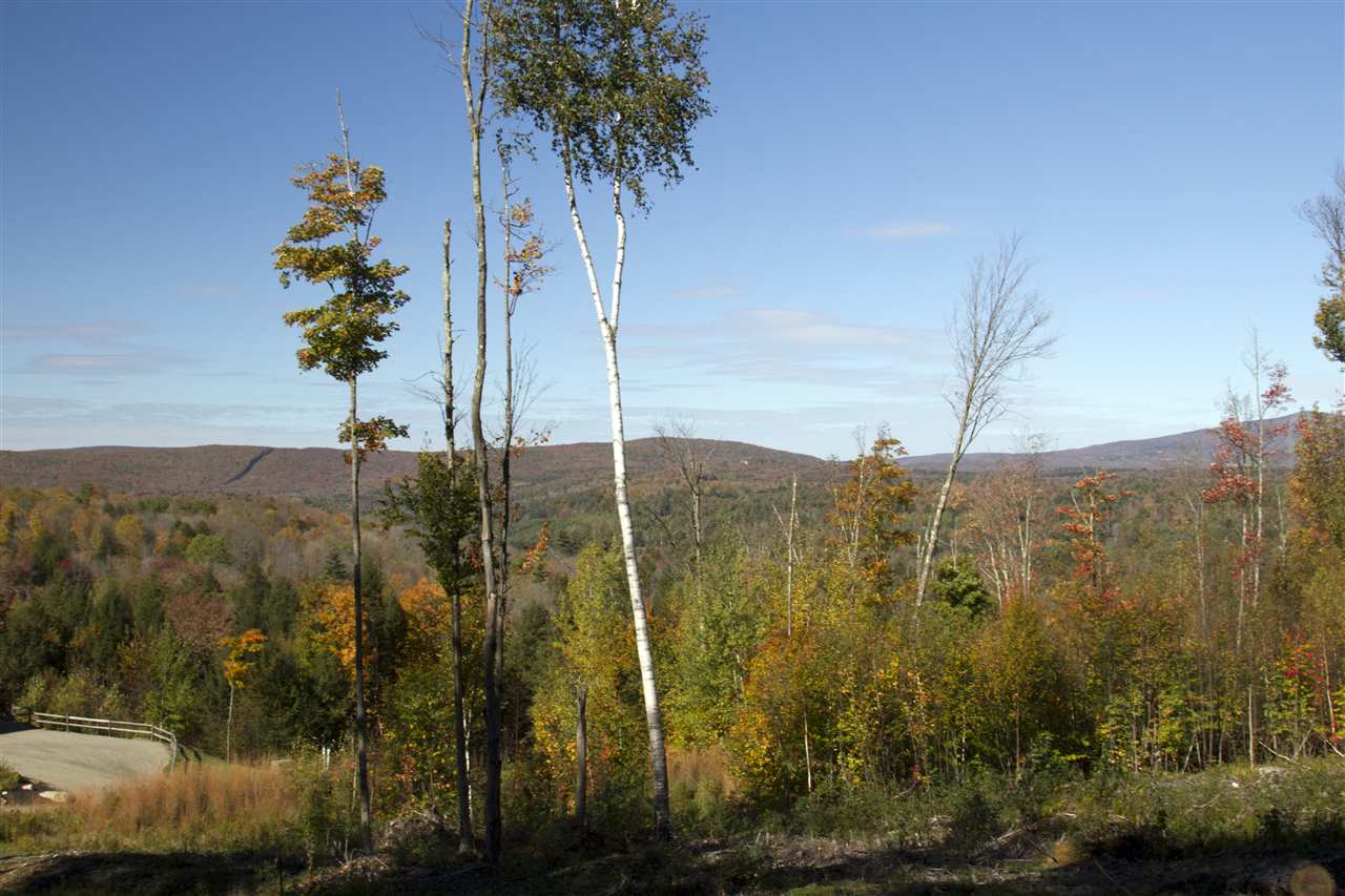 Lot 5-6 Garden Loop Road, Unit 5 & 6 Winhall, VT 05340 - Photo 5 of 9