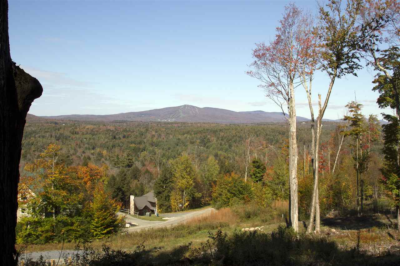 Lot 5-6 Garden Loop Road, Unit 5 & 6 Winhall, VT 05340 - Photo 8 of 9