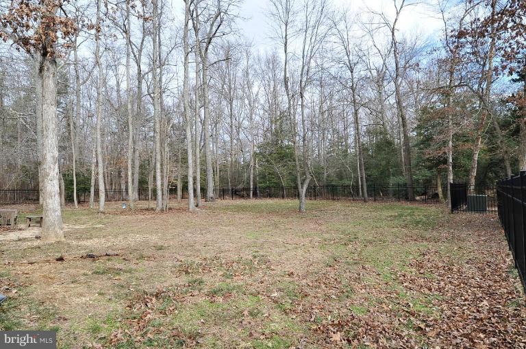 3120 Malcolm Road Brandywine, MD 20613 - Photo 17 of 19 Back yard