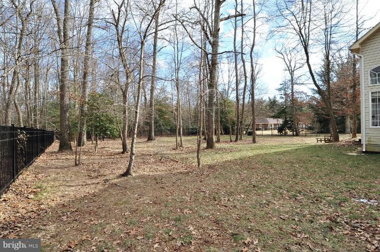 3120 Malcolm Road Brandywine, MD 20613 - Photo 18 of 19 Wooded View / Acreage