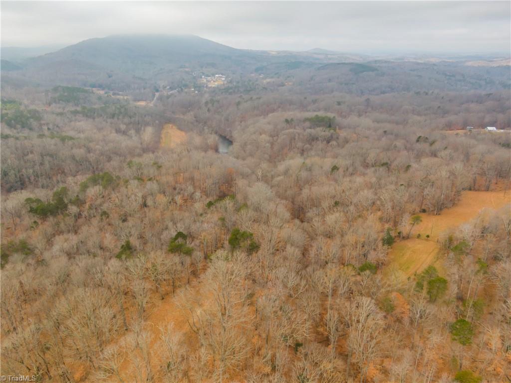 0 Mission Road, Unit LOT 25 Danbury, NC 27016 - Photo 22 of 23 Gallery Image 22