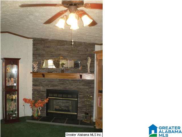 149 Prophecy Lane Springville, AL 35146 - Photo 12 of 32