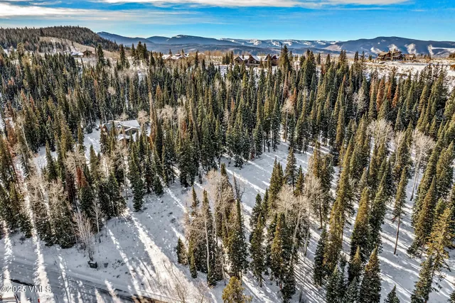 a view of a yard with trees in the background