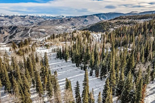 a view of a yard with trees