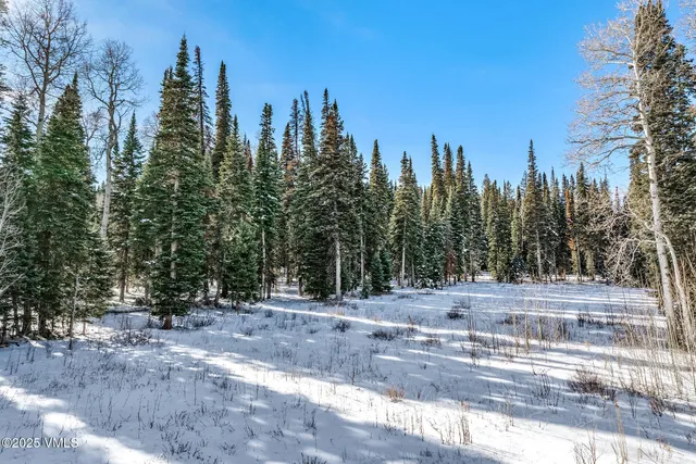 a view of a yard with a trees in the background