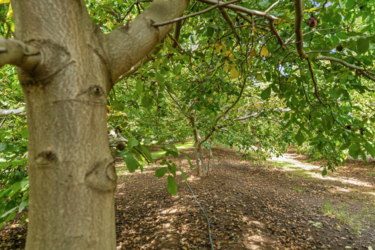 7306 Van Allen Road Stockton, CA 95215 - Photo 86 of 87