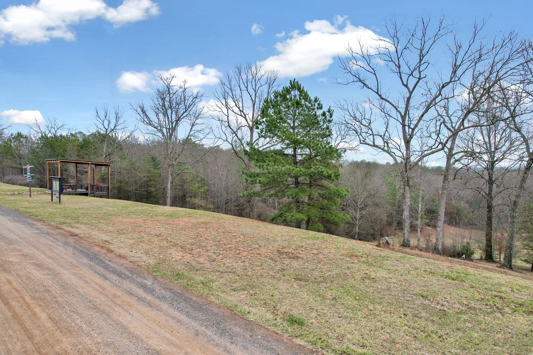 177 Roper Road, Unit 7 Copperhill, TN 37317 - Photo 30 of 32 1-web-or-mls-DJI_0265