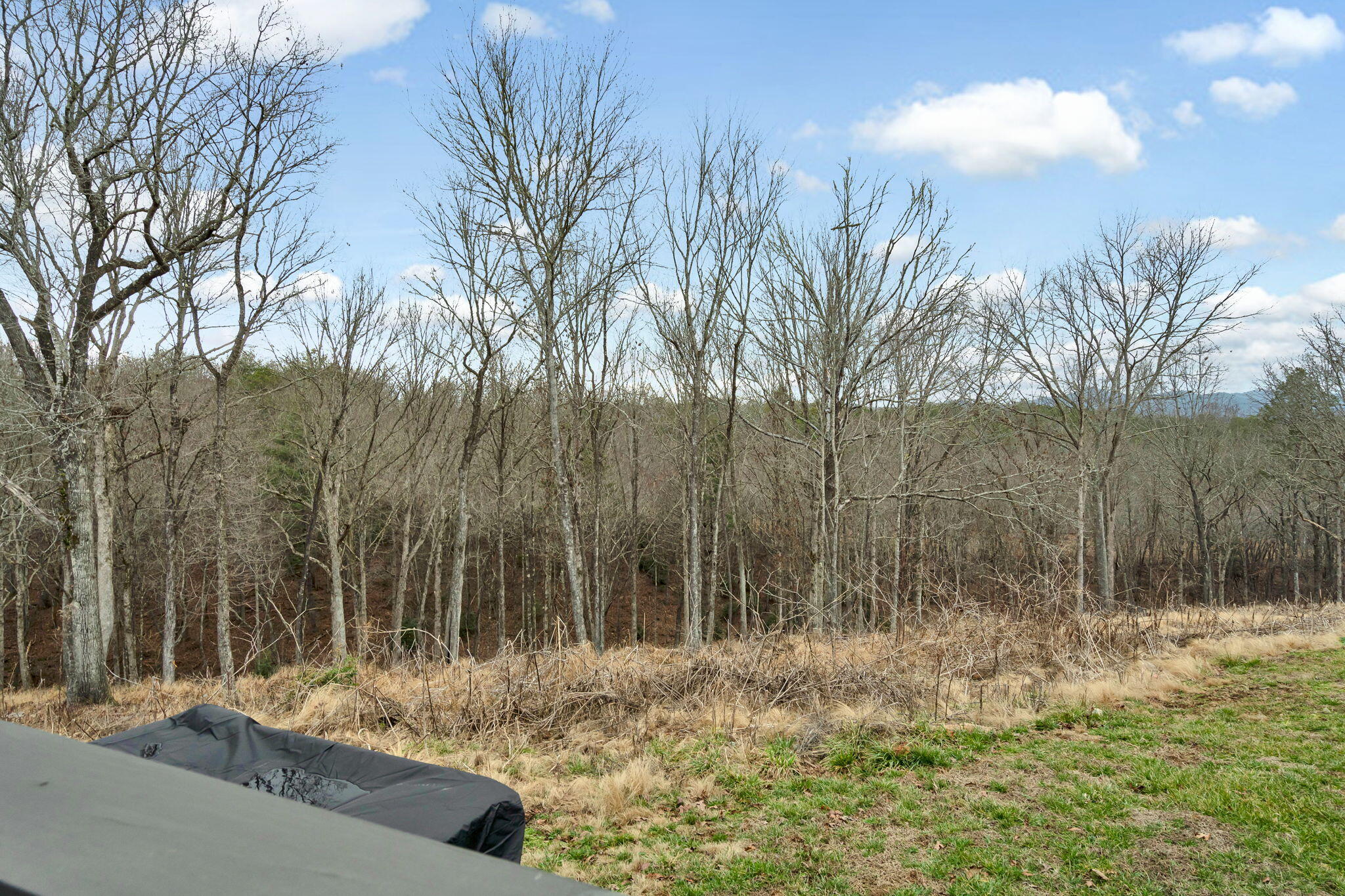 177 Roper Road, Unit 7 Copperhill, TN 37317 - Photo 32 of 32 25-web-or-mls-DSC03690