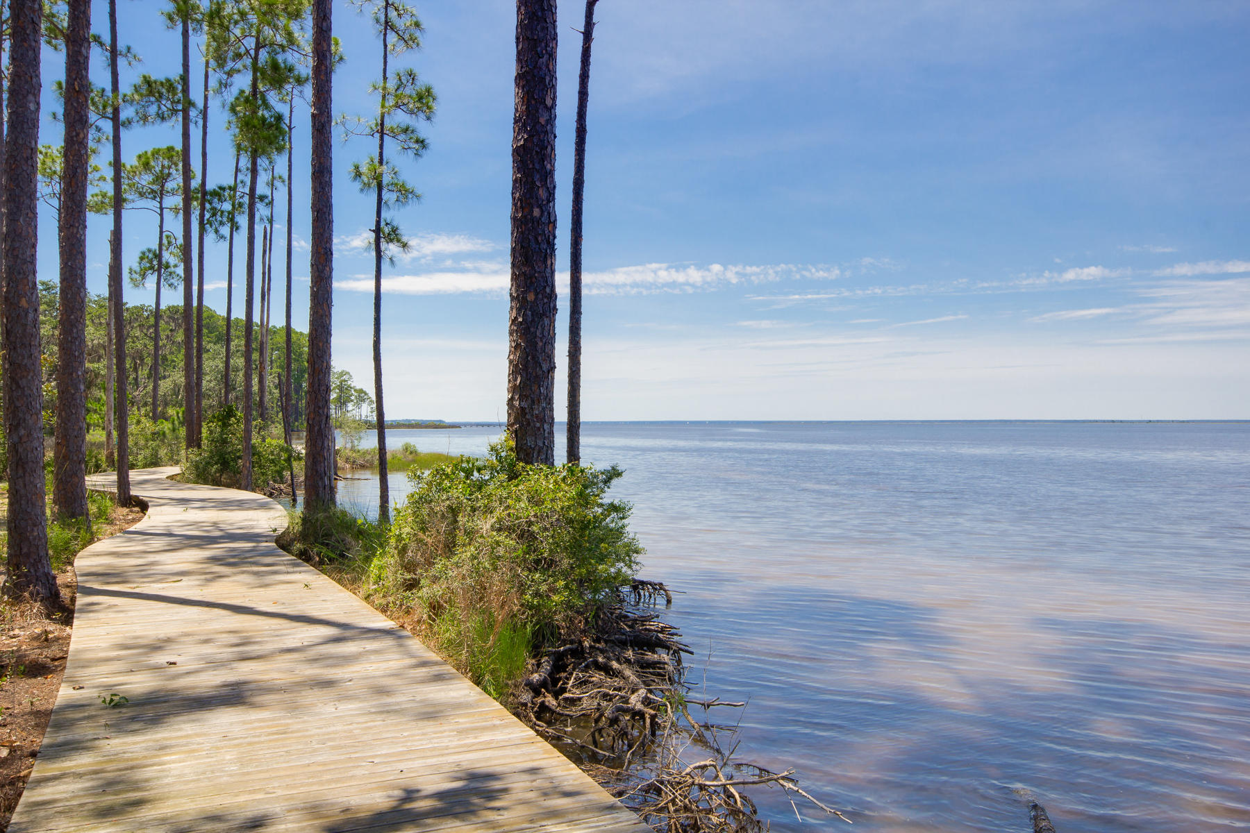 Tbd Perrin, Unit LOT 51A Santa Rosa Beach, FL 32459 - Photo 4 of 15 001-Churchill Oaks-MLS