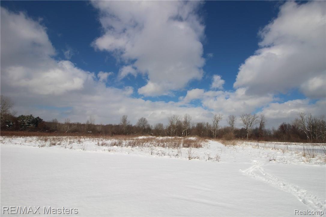 30120 King Road Romulus, MI 48174 - Photo 5 of 29 Imagine the winter possibilities!