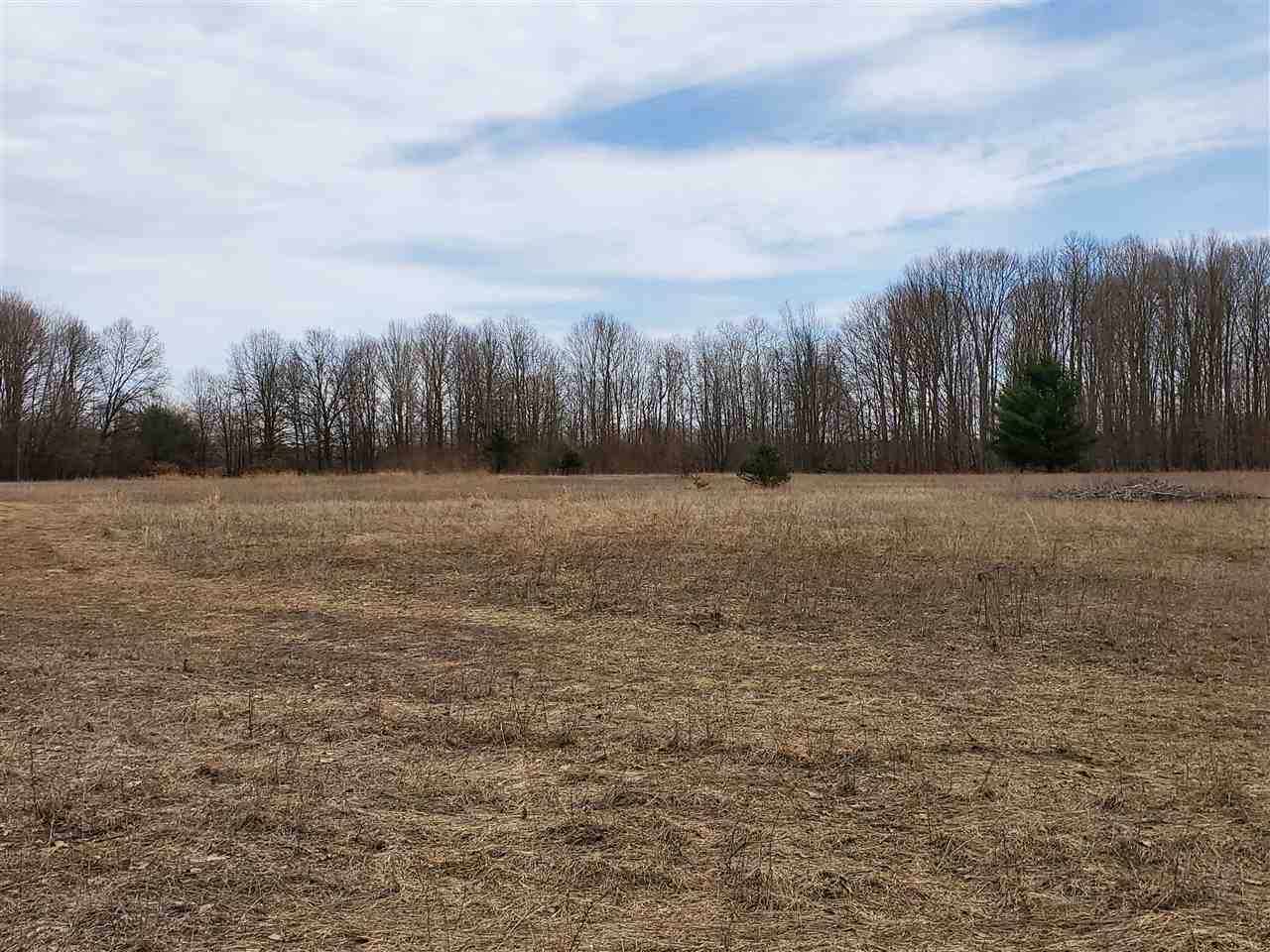 12262 Kerry Road Brethren, MI 49619 - Photo 50 of 95 1885414-49.JPG