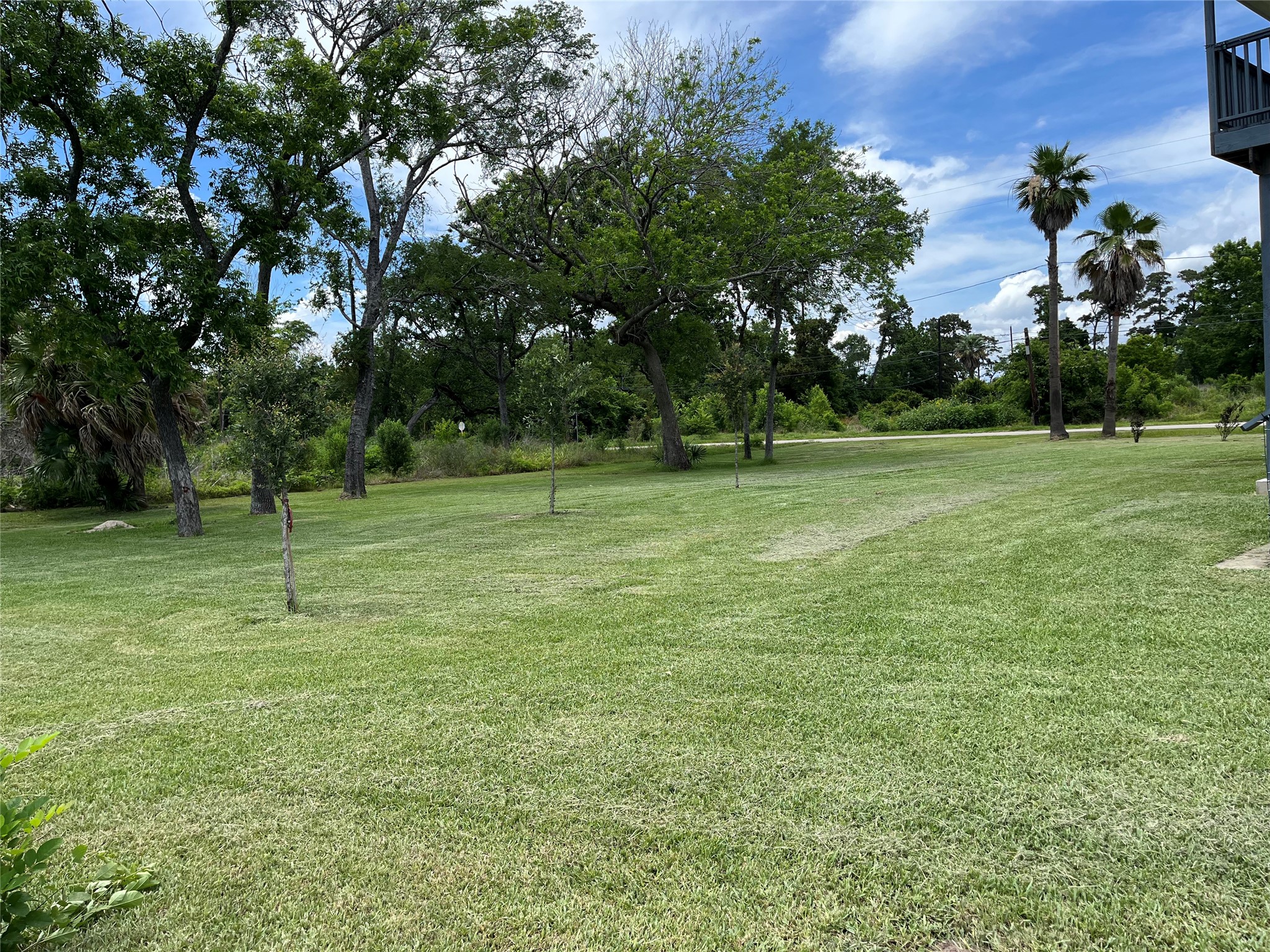 21511 Rio Villa Drive Houston, TX 77049 - Photo 16 of 45 a view of a field with a tree