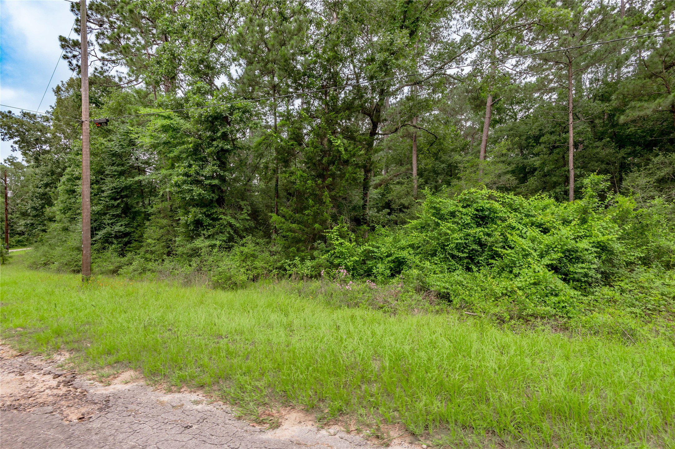 Lot 55 Post Oak Circle Trinity, TX 75862 - Photo 4 of 31