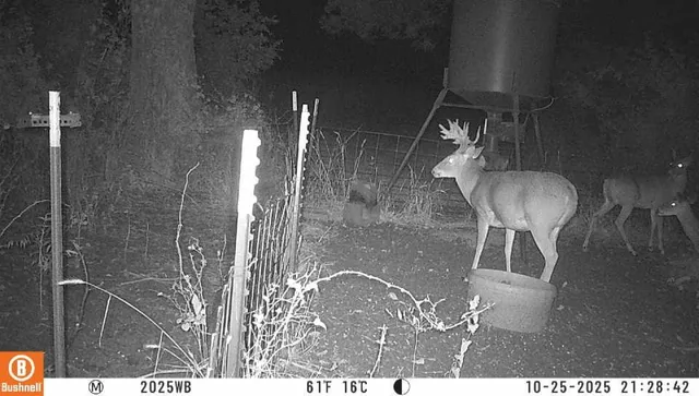 a view of plants with a lake view