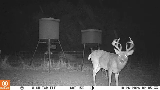 an aerial view of house with yard and outdoor seating