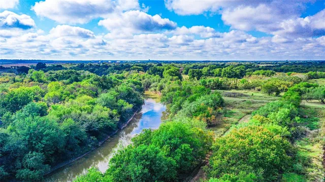 a view of a yard with plants and a bench