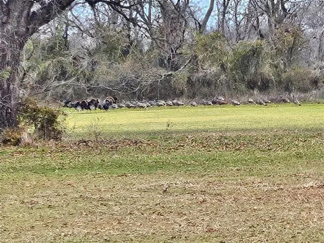 $975,000 | 3635-3533 River Road, Wichita Falls, TX 76305