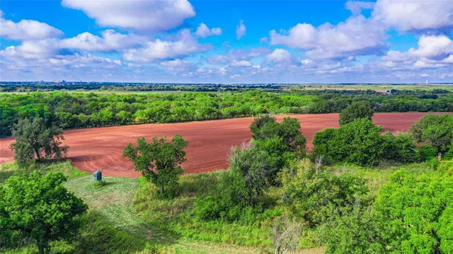 a view of a yard with a garden