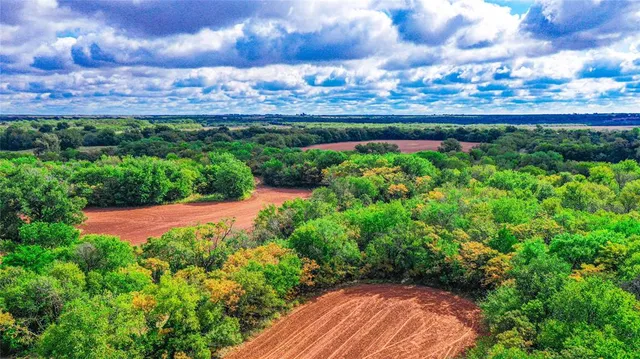 a view of a lush green field