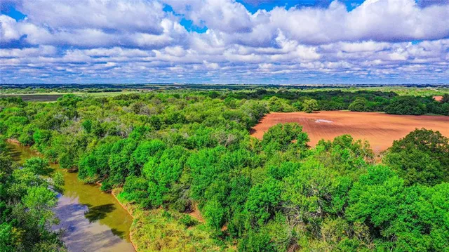 a view of a back yard